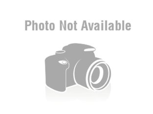 Adorable Labrador Puppies for Sale – Vaccinated & Healthy!